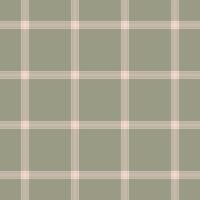 Product check plaid tartan, windowpane pattern seamless textile. Official texture fabric background in pastel and light colors. vector