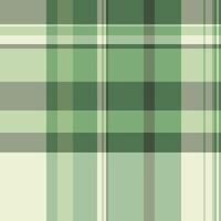 Repeating fabric seamless, genuine background texture pattern. Tape textile plaid tartan check in pastel and light colors. vector