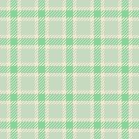 Frame check tartan, 2024 textile plaid fabric. Hat seamless background texture pattern in light and green colors. vector