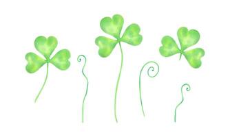Set of shamrock clovers for good luck on St. Patrick's Day. Watercolor and marker illustration. Hand drawn isolated sketch. Clip art of botanical spring holiday, lucky clover talisman vector