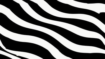 Seamless Zebra Pattern Design Stylish Black and White vector