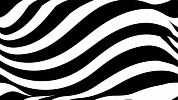 Seamless Zebra Pattern Design with Stylish Black and White Stripes vector