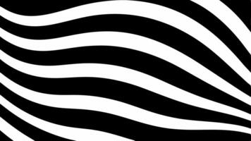 Seamless Zebra Pattern Design with Stylish Black and White Illustration vector