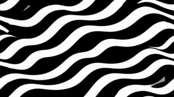 Seamless Black and White Pattern with Elegant Wavy Lines vector
