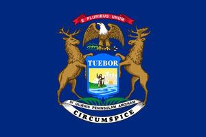 Flag of Michigan vector