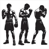 Silhouettes of a boxer in different poses vector