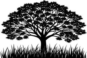 Silhouette of a majestic tree and grass. vector