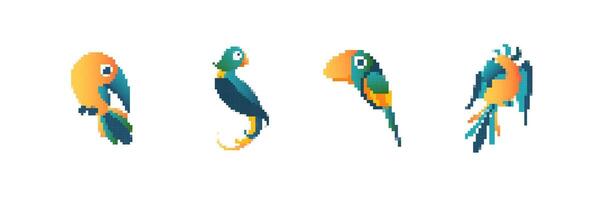 Colorful pixel art parrots in retro style facing different directions left to right vector