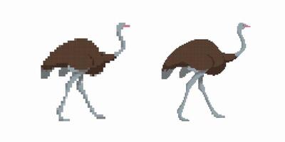 Pixel art ostrich characters walking with long legs and curved necks in simple style vector