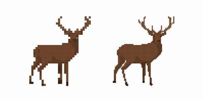 Pixel art deer pair with antlers standing in profile viewed from the side in simple style vector