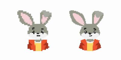 Pixel art cute gray bunny with orange jacket, two expressions, simple design, digital graphic vector