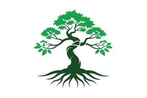 Striking Silhouette of a Bonsai Tree with Deep Roots vector