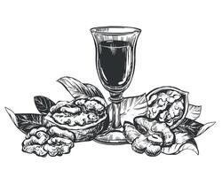 Hand drawn sketch illustration of walnuts and shot glass with liqueur. Composition of open walnut kernel, whole walnut and glass. Black and white drawing of nut. Isolated on white background. vector