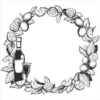 Round frame of walnuts, Bottles of liqueur, glasses with aperitif. illustration in engraving technique. Design for Nocino liqueur. Unripe walnuts whole and pieces, leaves collected in a wreath. vector