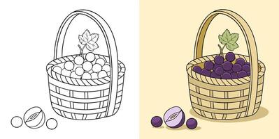 Illustration of Grapes and Slices in a Basket vector