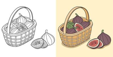 Illustration of Fig Fruit With Slices in a Basket vector