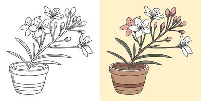 Black-White and Colored Sketch Wax Flower Illustration vector