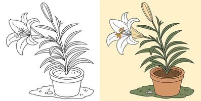 Lily flowers in a decorative pot with green leaves vector