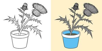 Comparison of Thistle Flower Illustrations in Black-and-White and Color Sketches vector