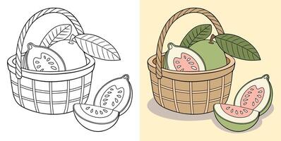 Illustration of Guava Fruit and Slices in a Basket vector