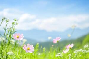 Pink wildflowers blooming in a field under a bright blue sky, mountains visible in the distance photo