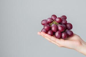 A person holds a bunch of red seedless grapes in their open hand on a light grey background photo