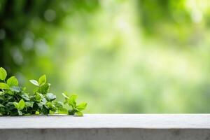 Green leafy foliage on a stone surface in front of a blurred natural green background photo