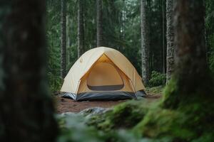 Camping tent set up in a forest clearing, framed by mossy trees and tall pines. Serene outdoors photo