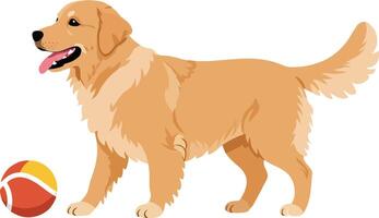 Golden retriever happily playing with a colorful ball in a sunny outdoor setting, showcasing a flat design illustration vector
