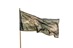 Army Flag On Transparent Background. png