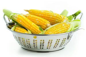 Sweet Corn in Stainless Steel Colander Isolated on White Background photo