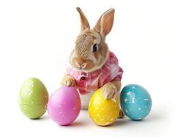 A rabbit wearing a cute shirt emerges from the big egg with beautiful colorful shells on a white background. photo