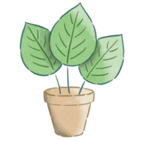Hand-Drawn Watercolor Tree in Pot - Spring Home Decor png