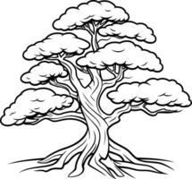 Black and White Cartoon Illustration of Tree with Roots for Coloring Book vector