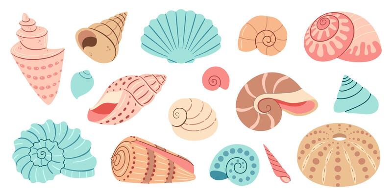Sea shell cartoon set. Ocean exotic underwater seashell conch aquatic mollusk, sea spiral snail collection. Tropical beach shells. Modern flat style isolated on white background. illustration