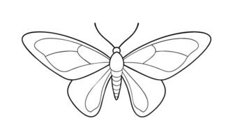 Beautiful flying moth for welbeing bee one line continuous drawing art on white background vector
