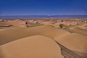 A sand dune of sahara desert at Mhamid el Ghizlane in Morocco photo