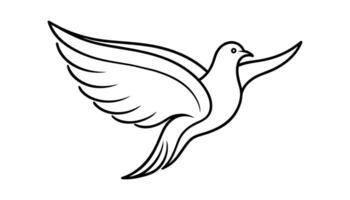 Flying dove One line continuous line art illustration on white background vector