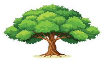 Elm tree isolated flat illustration on white background. vector