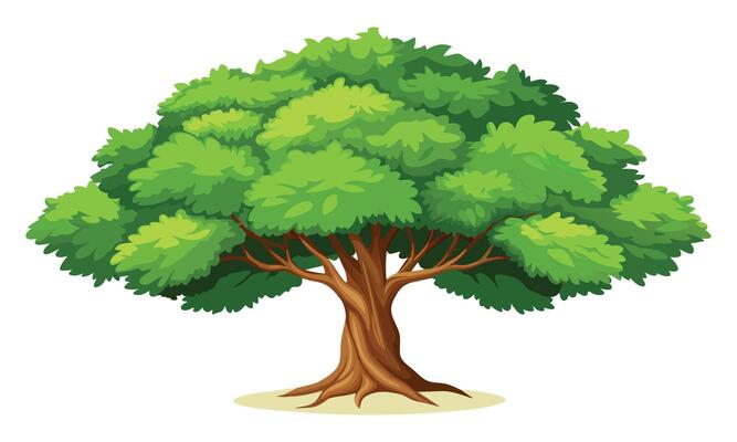 Elm tree isolated flat illustration on white background.
