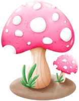 different mushrooms isolated on white background png