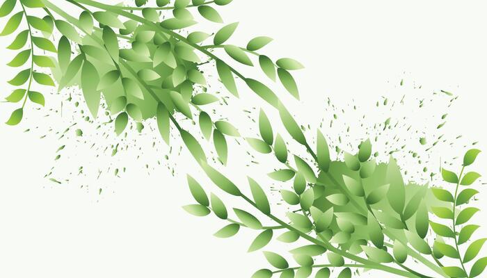 Abstract Geometric modern with Leaf wave Green color background for template, poster, flyer design. illustration