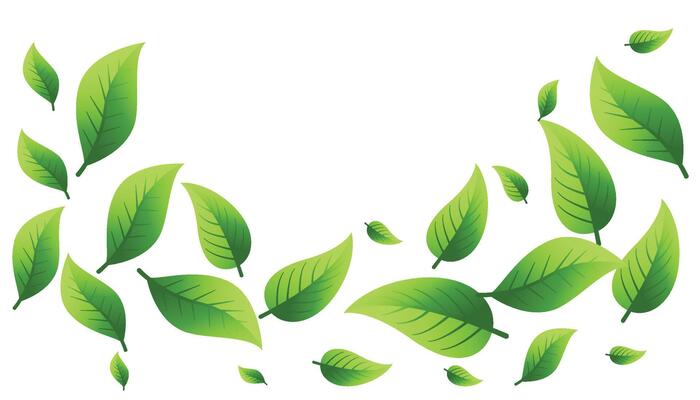 Realistic flying green leaf, blur and focused elements. Nature spring tree, fresh ecology cosmetic background, organic eco forest objects. Spring foliage falling. illustration