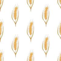 Seamless pattern with wheat doodle for decorative print, wrapping paper, greeting cards, wallpaper and fabric vector