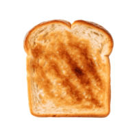 a slice of toast bread isolated on a transparent background, top view png