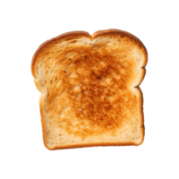 a slice of toast bread isolated on a transparent background, top view png