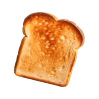 a slice of toast bread isolated on a transparent background, top view png