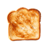 a slice of toast bread isolated on a transparent background, top view png