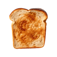 a slice of toast bread isolated on a transparent background, top view png