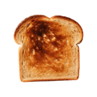 a slice of toast bread isolated on a transparent background, top view png